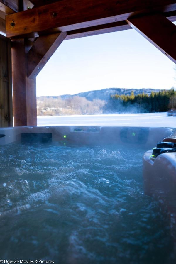 Les Jardins Du Herisson Chalet 2 Bonlieu Экстерьер фото